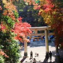 長瀞紅葉 寶登山神社の画像