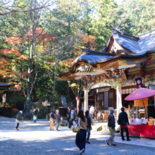 長瀞紅葉 寶登山神社の画像