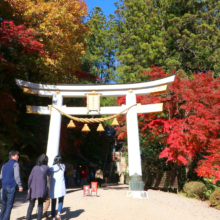 長瀞紅葉 寶登山神社の画像