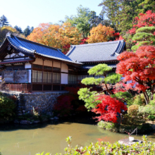 長瀞紅葉 寶登山神社の画像