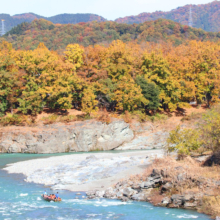 長瀞紅葉 金石水管橋の画像