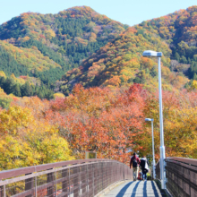 長瀞紅葉 金石水管橋の画像