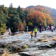 長瀞紅葉 岩畳周辺の画像