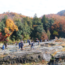 長瀞紅葉 岩畳周辺の画像