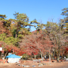 長瀞紅葉 月の石もみじ公園