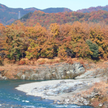 長瀞紅葉 金石水管橋の画像