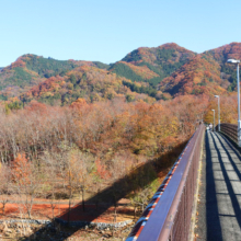 長瀞紅葉 金石水管橋の画像