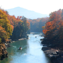 長瀞紅葉 金石水管橋の画像