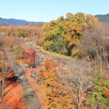 長瀞紅葉 金石水管橋の画像