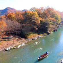 長瀞紅葉 金石水管橋の画像