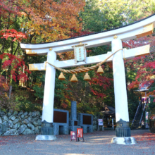 長瀞紅葉 寶登山神社の画像