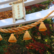 長瀞紅葉 寶登山神社の画像