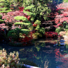 長瀞紅葉 寶登山神社の画像