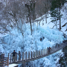 尾ノ内百景（冷っけぇ～）氷柱の画像