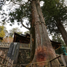 三峯神社の画像