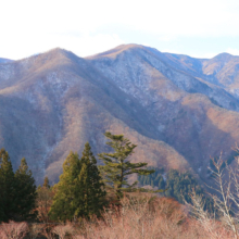 三峯神社の画像