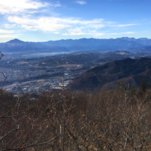 宝登山ロウバイ園