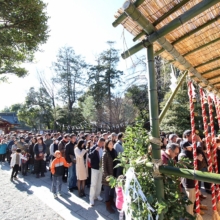 秩父神社初詣の画像