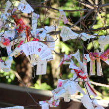 寶登山神社初詣の様子