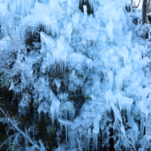 あしがくぼの氷柱画像