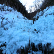 あしがくぼの氷柱画像