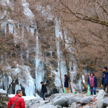 三十槌の氷柱の画像