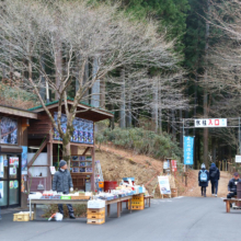 尾ノ内百景（冷っけぇ～）氷柱の画像