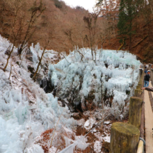 尾ノ内百景（冷っけぇ～）氷柱の画像