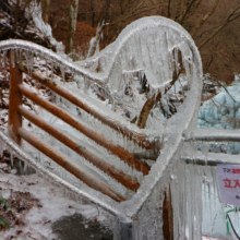 尾ノ内百景（冷っけぇ～）氷柱の画像