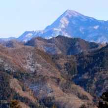 あずまや山福寿草園