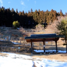 あずまや山福寿草園