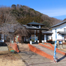 道の駅「龍勢会館」 福寿草