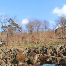 ムクゲ自然公園_秩父紅