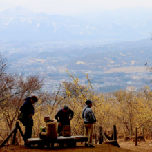 宝登山四季の丘ロウバイの画像