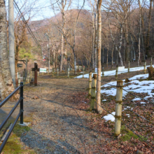 小鹿野町両神 節分草園の画像