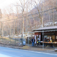 小鹿野町両神 節分草園の画像