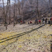 堂上の節分草園の画像