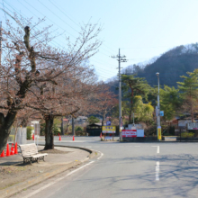 長瀞北桜通りの画像