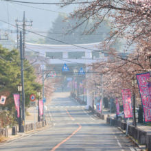 宝登山参道の画像