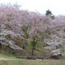 長瀞野土山の画像