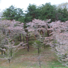 長瀞野土山の画像