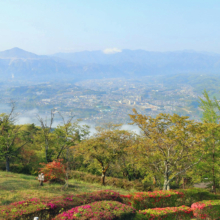 美の山から秩父市街の画像