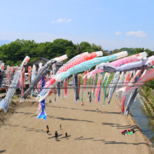 横瀬こいのぼり祭り