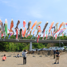 横瀬こいのぼり祭り