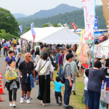 天空のポピー2018の画像