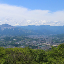 美の山公園アジサイ