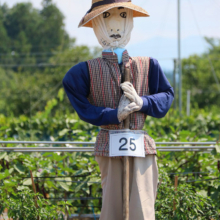 下吉田フルーツ街道 案山子祭りの画像