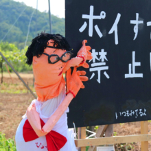 下吉田フルーツ街道 案山子祭りの画像