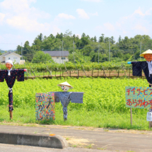 下吉田フルーツ街道 案山子祭りの画像