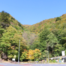 奥秩父紅葉 滝川渓谷の画像